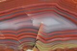 Colorful, Polished Patagonia Agate - Highly Fluorescent! #214921-2